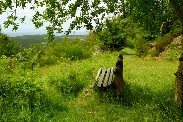 场上无与伦 场上无与伦