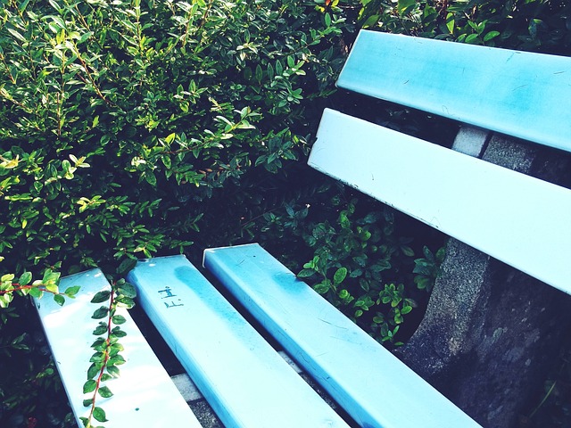 各队都在寻 各队都在寻